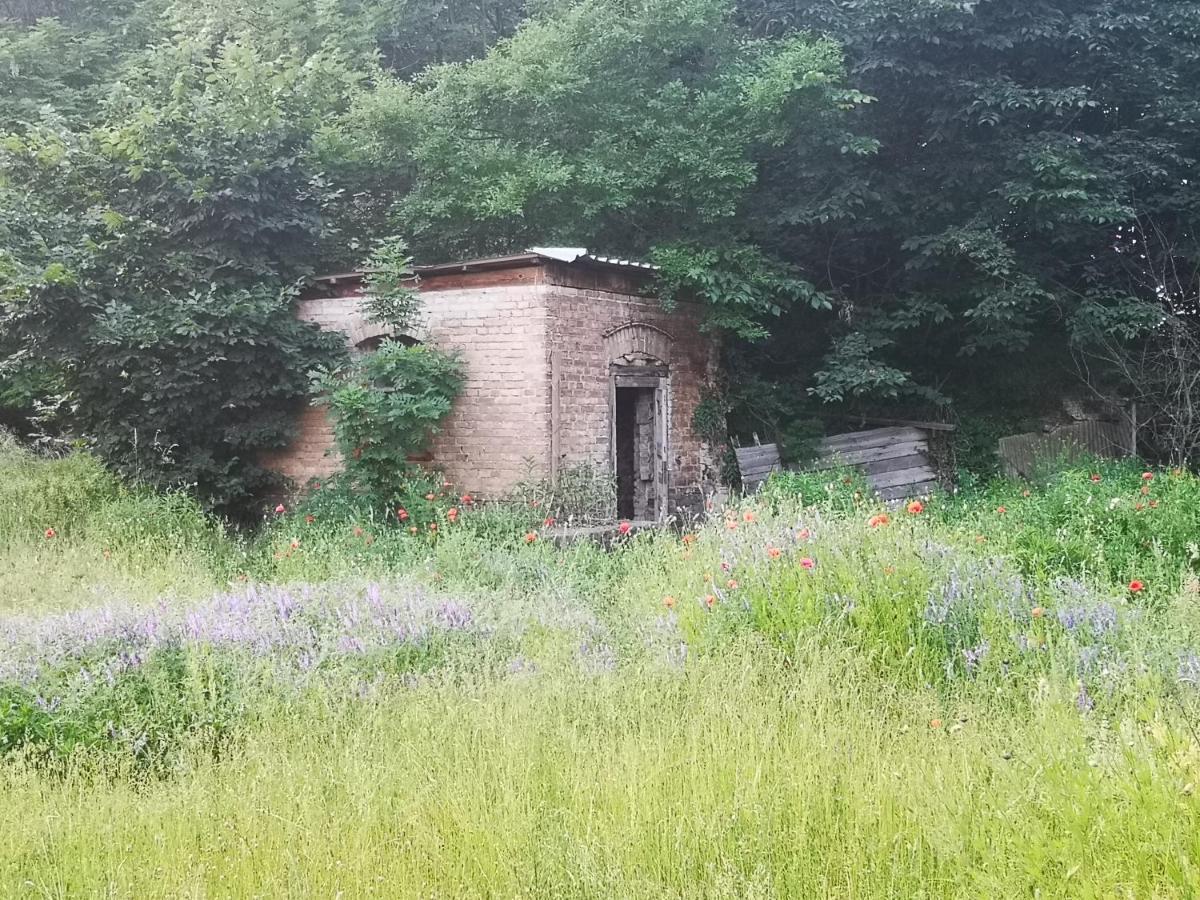 Gaestehaus Am Landgut Schonwalde-Glien ภายนอก รูปภาพ