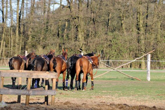 Gaestehaus Am Landgut Schonwalde-Glien ภายนอก รูปภาพ