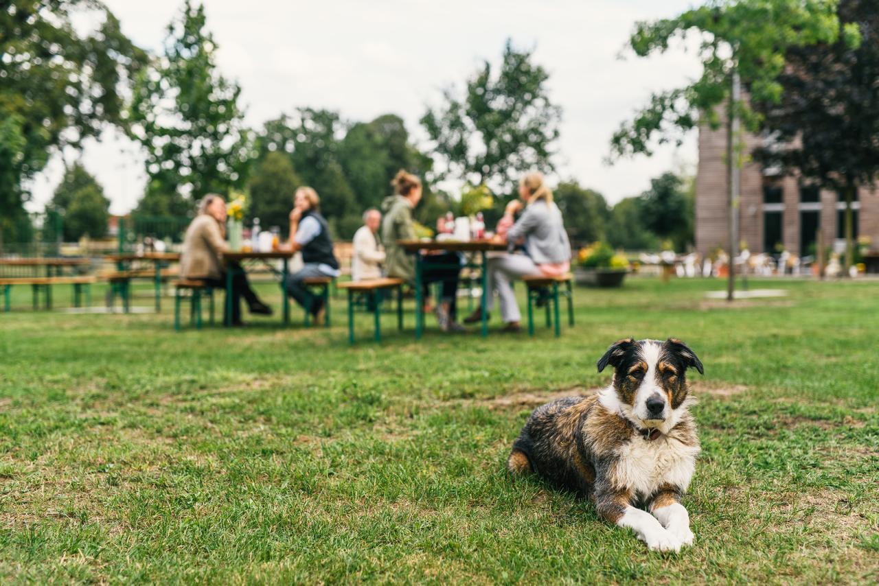 Gaestehaus Am Landgut Schonwalde-Glien ภายนอก รูปภาพ